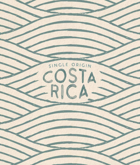 Peet’s Costa Rica Dark Roast Coffee bag.