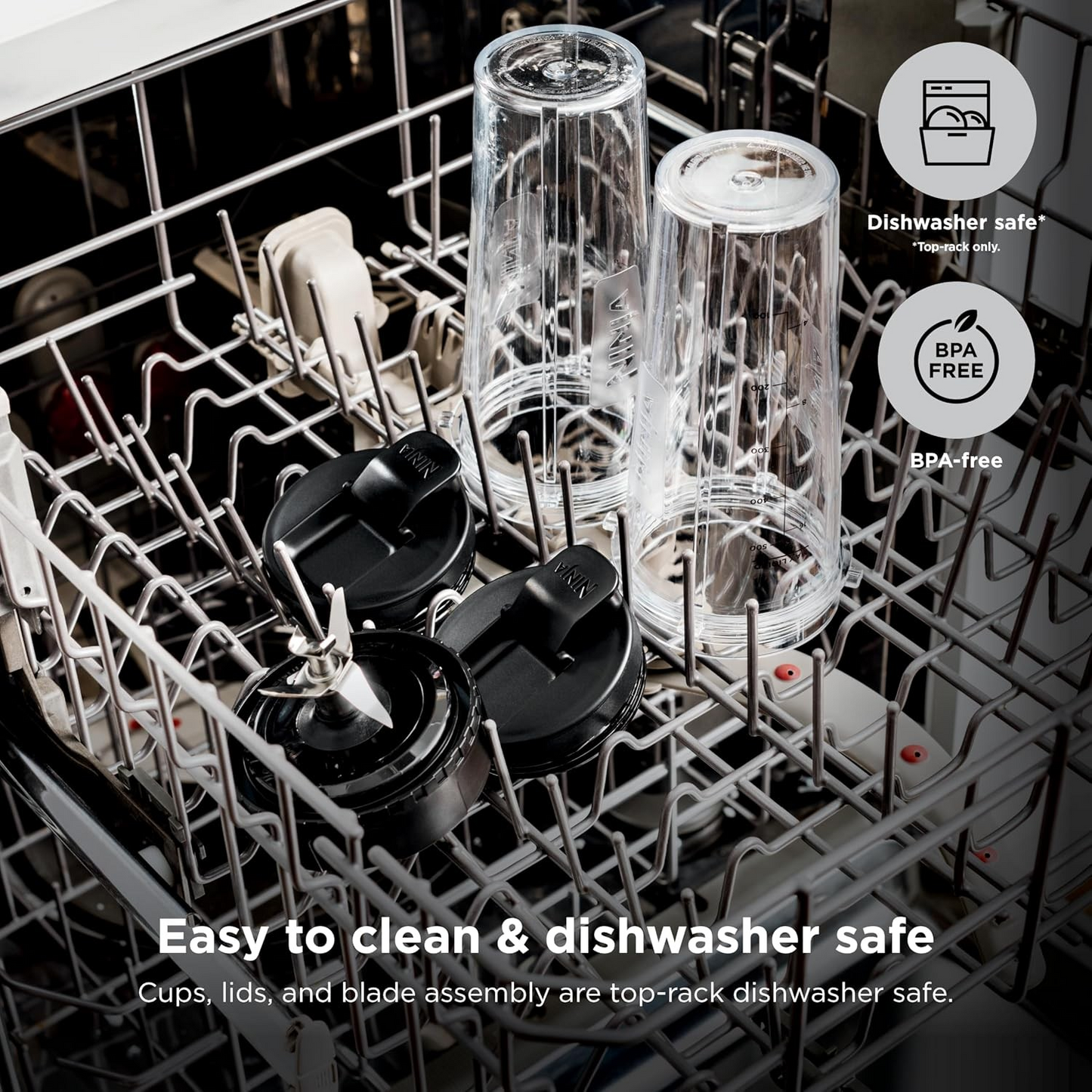 Ninja QB3001SS blender win dishwasher