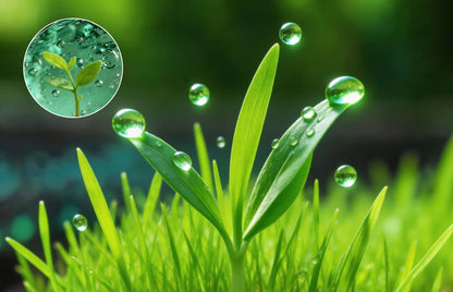 SoilPulse - Organic Soil Activator
