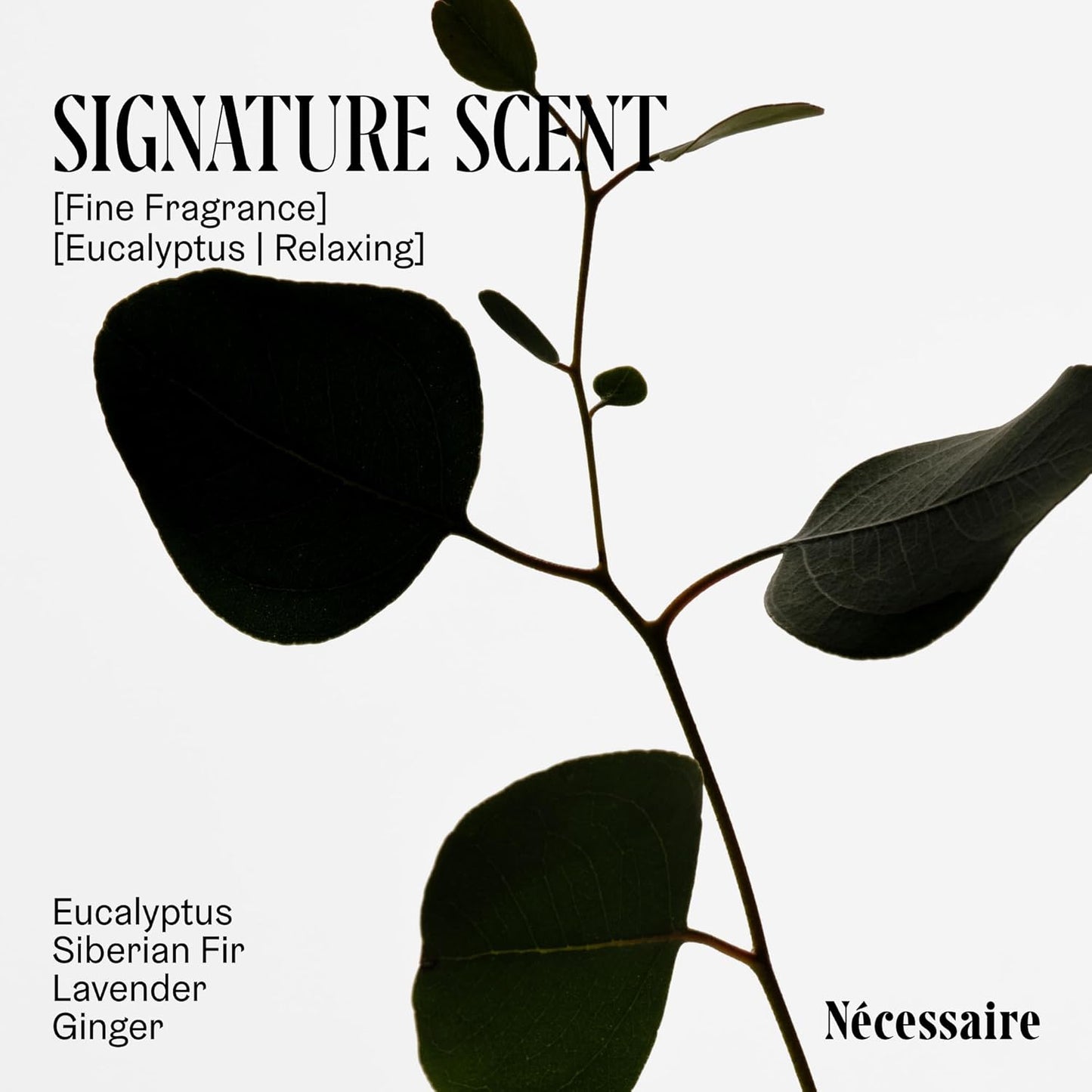 Nécessaire The Body Lotion Eucalyptus – Firming Multi-Peptide Moisturizer for Women & Men