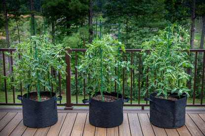 Gardzen 10-Pack 1 Gallon Grow Bags
