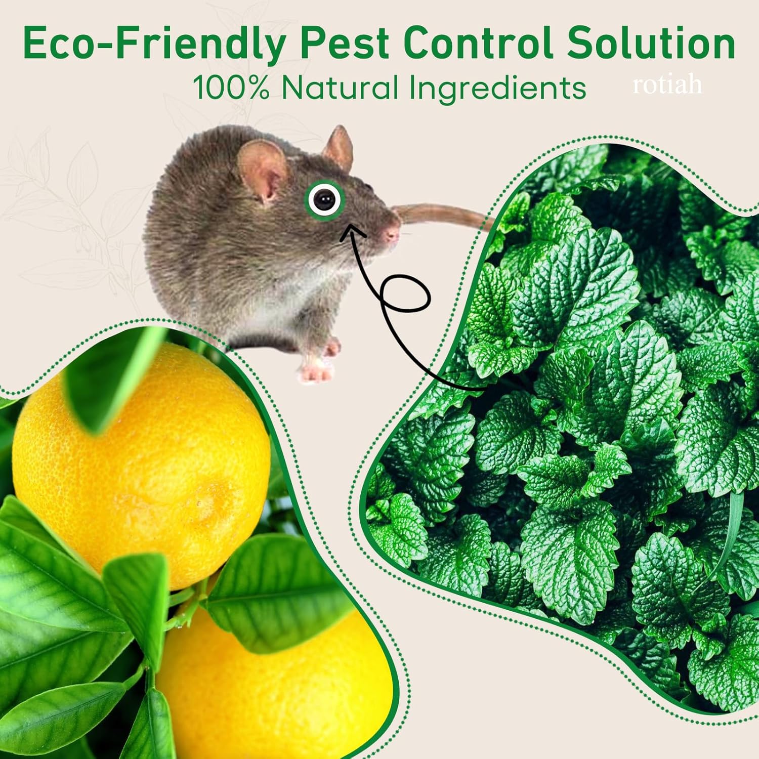 24-pack peppermint oil pest repellent pouches for mice, rats, spiders, and ants — natural, family and pet safe indoor and outdoor pest control
